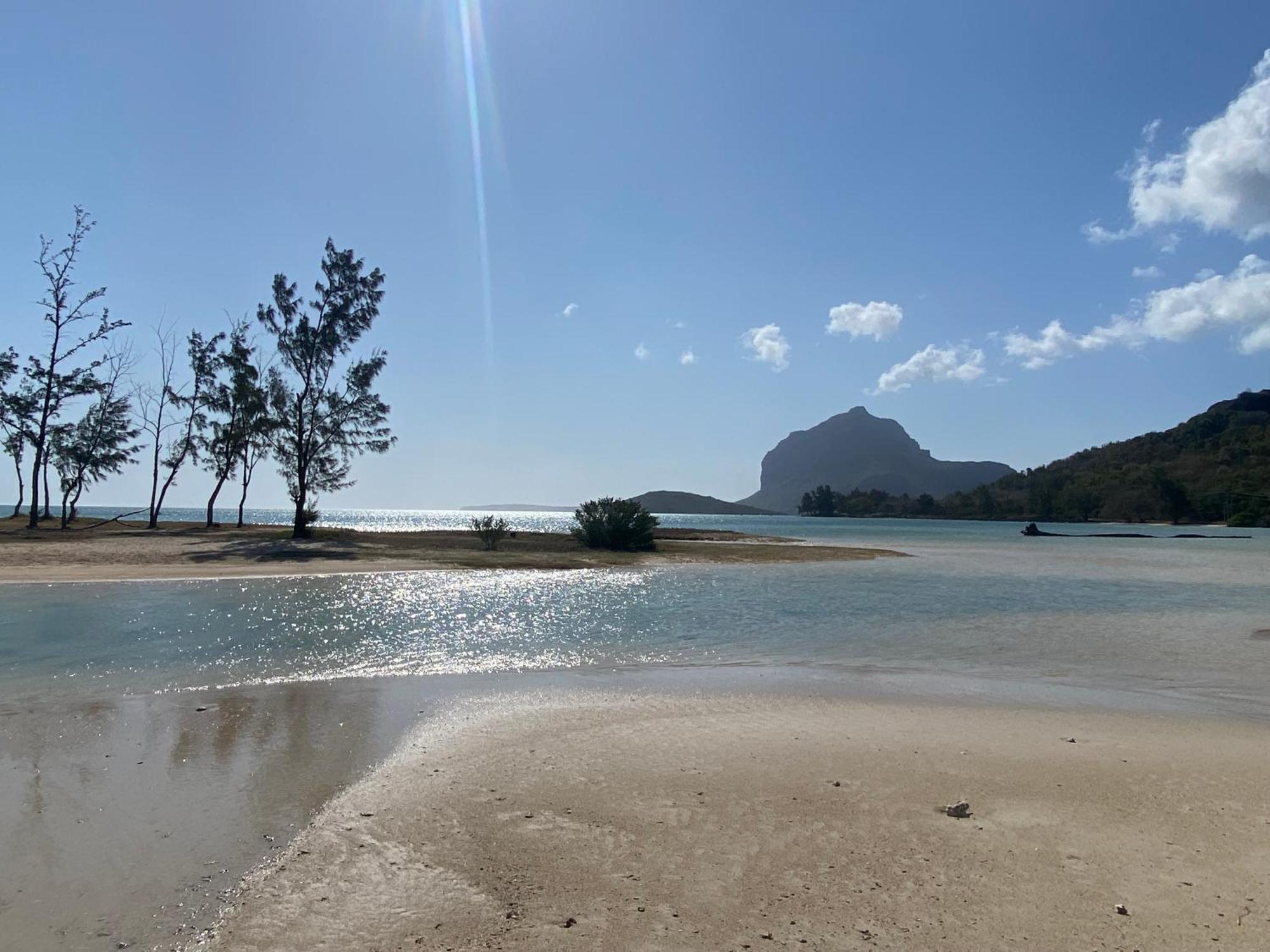 Lakaz Tropical Apartment Ruisseau Creole Екстериор снимка